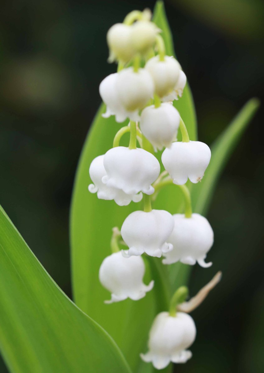 片柳弘史 tweet media