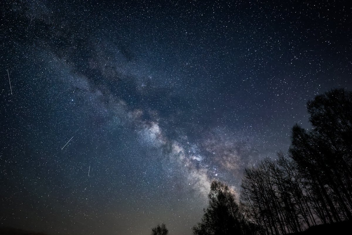 さるすべり tweet media