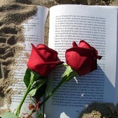 Ultraquim's tweet photo. Bona diada de Sant Jordi https://t.co/d6Y15CLwZ2