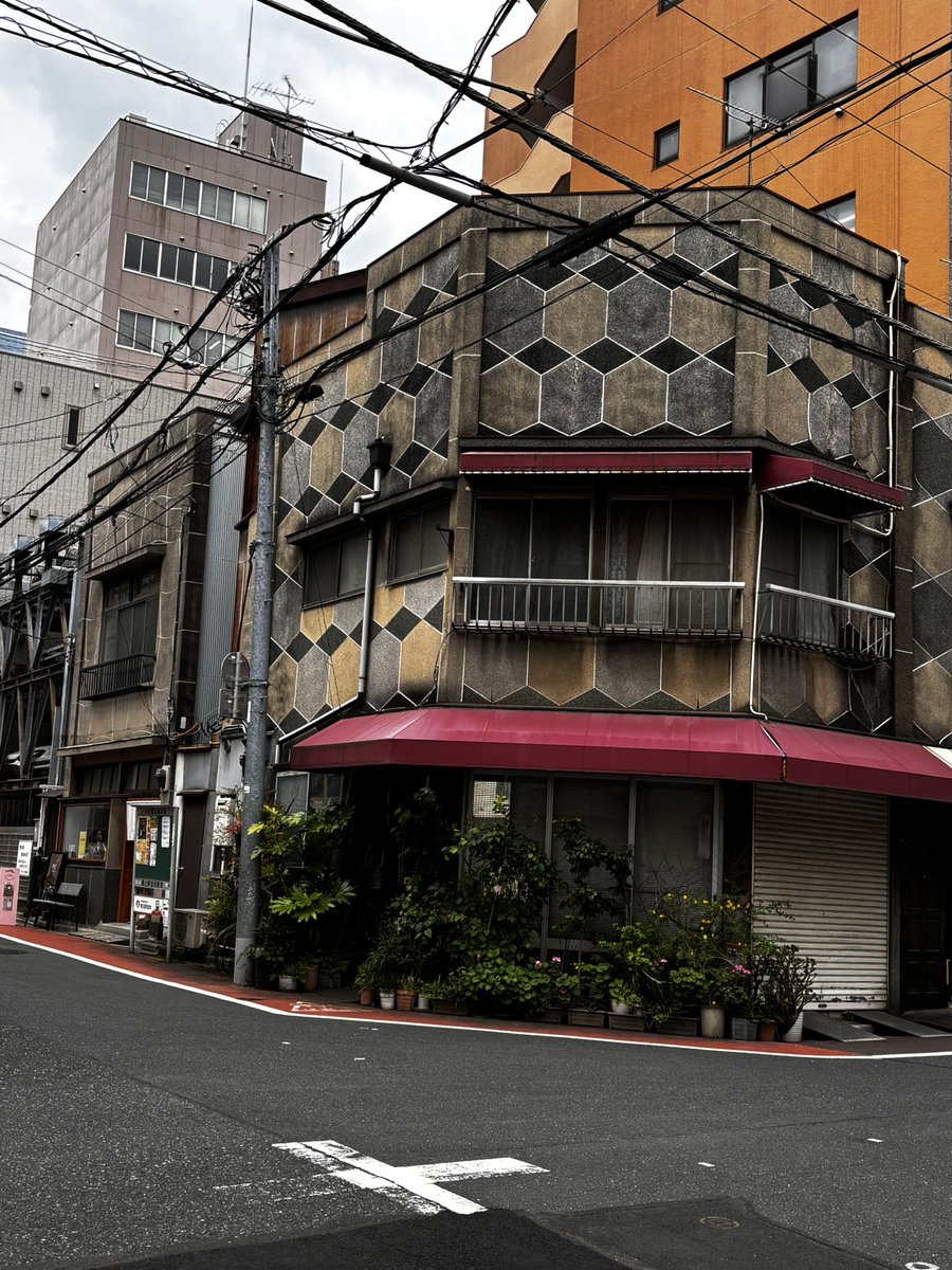 🫥うに🦩 tweet media