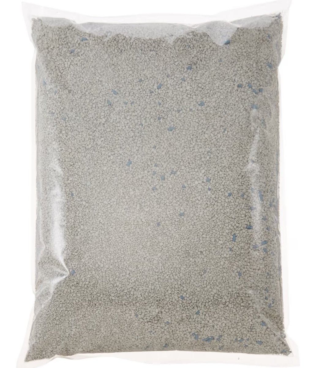 里親募集　かわ　かーさん tweet media