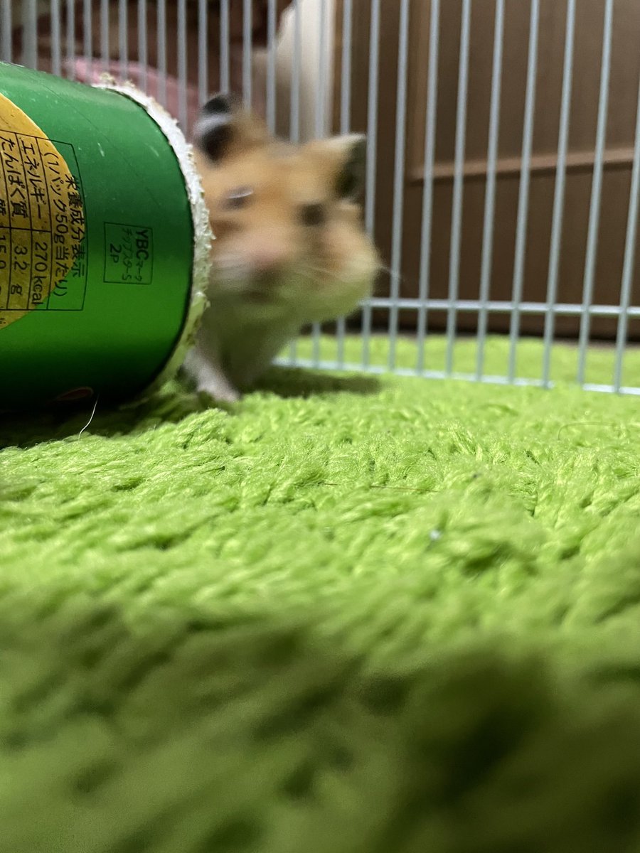 Mみ tweet media