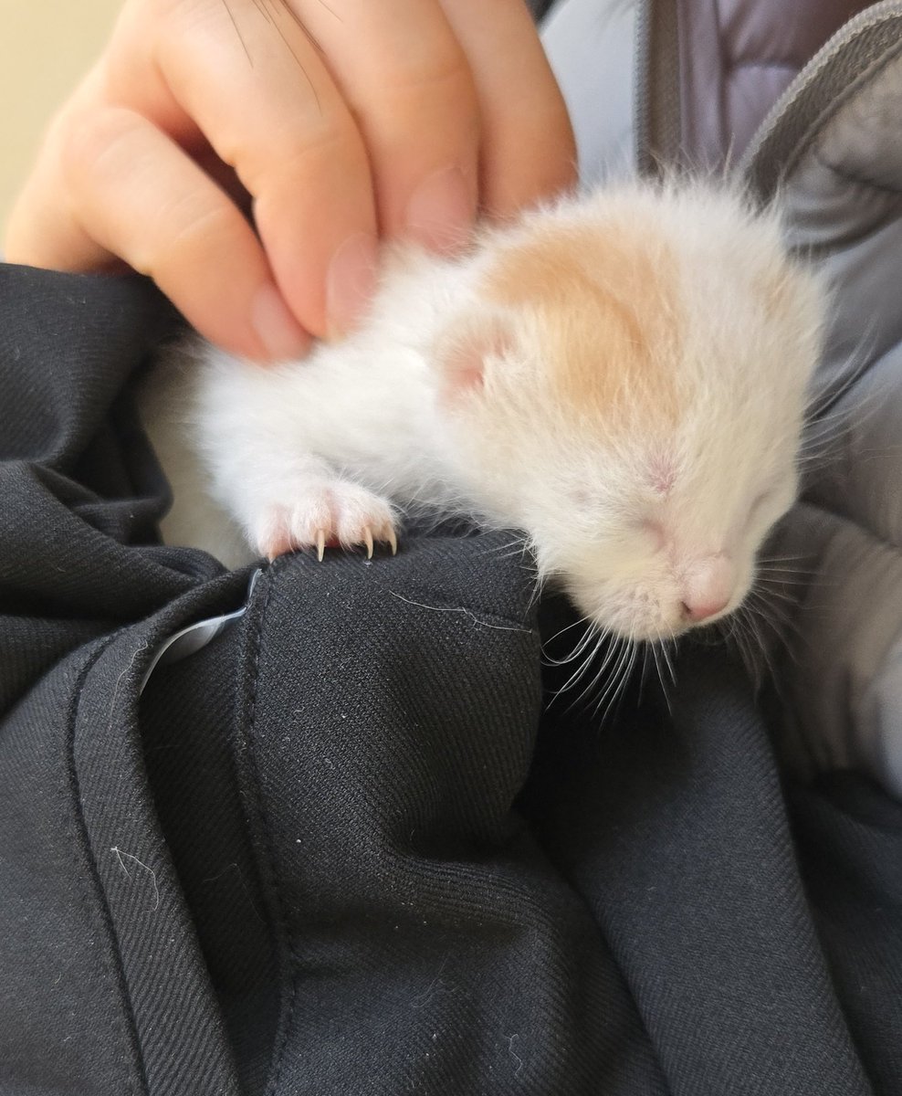 괸괸괸 tweet media