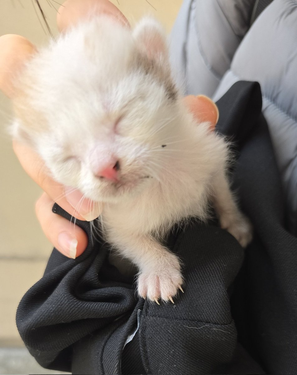 괸괸괸 tweet media