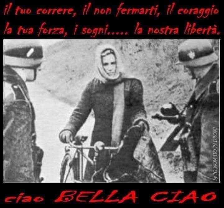 roberto #antifascista tweet media