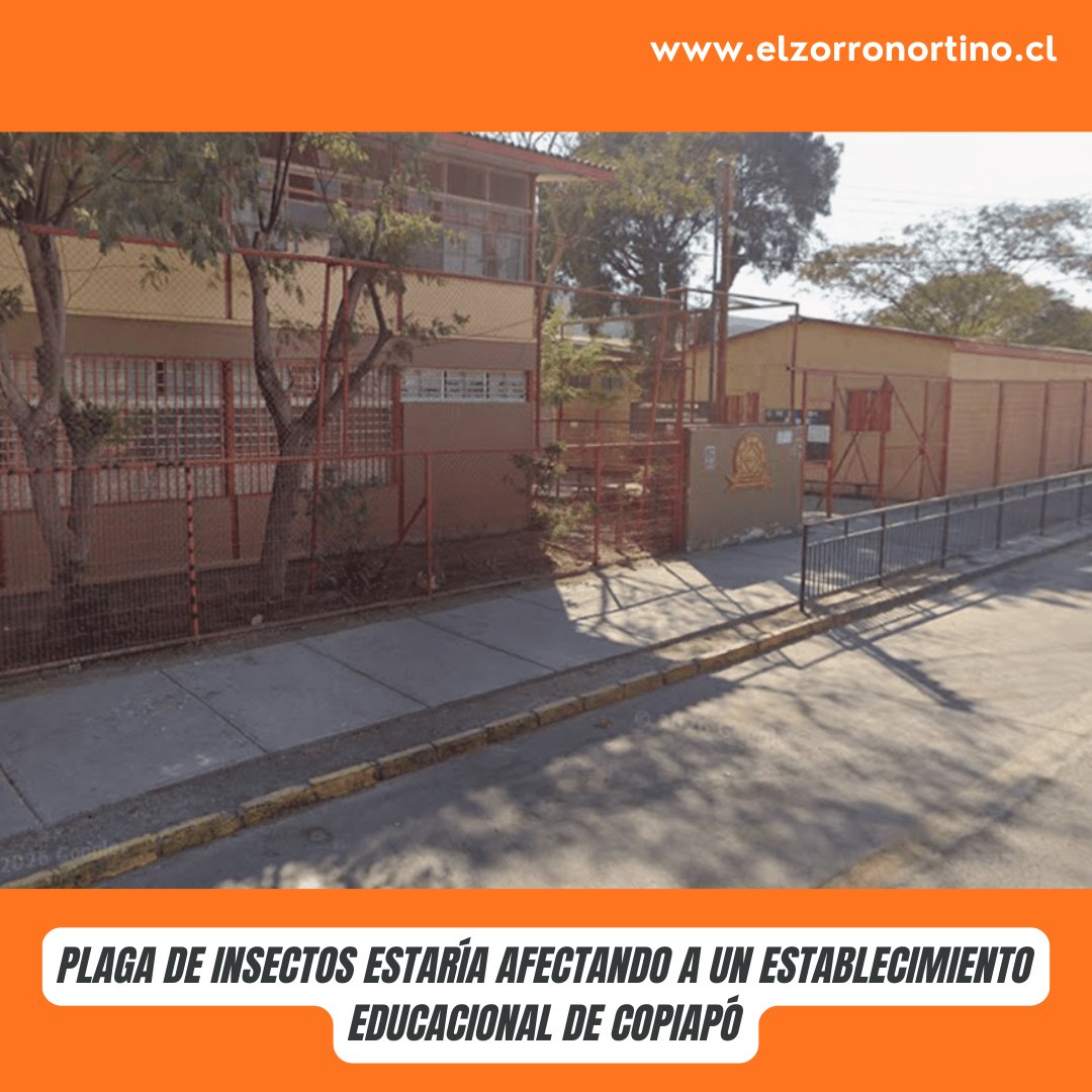 Elzorronortino's tweet image. Plaga de insectos estaría afectando a un establecimiento educacional de Copiapó

elzorronortino.cl/actualidad/pla…

#seguidores #elzorronortino #destacarme #noticiasdehoy #todos #atacama