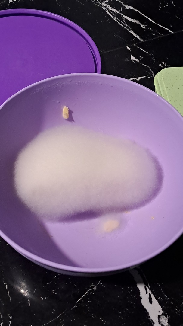 🦈 SUROBOYOFESS 🐊 tweet media