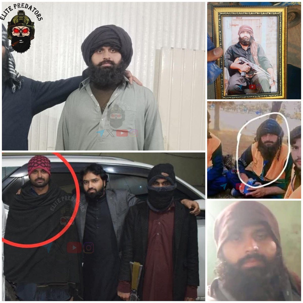 Elite Predators tweet media