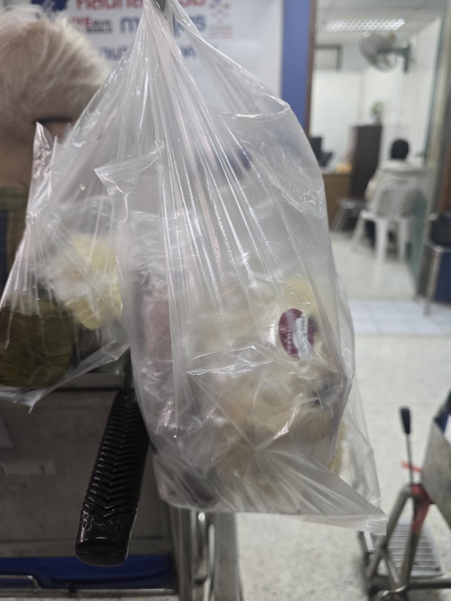 Tudtu Trixie 🌈 tweet media