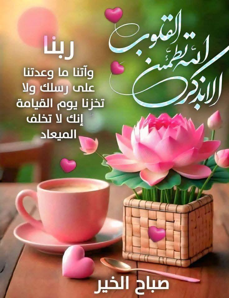 Adel Ahmed Eissa عادل احمد مصطفى عيسى (@adelahmedeissa1) on Twitter photo 