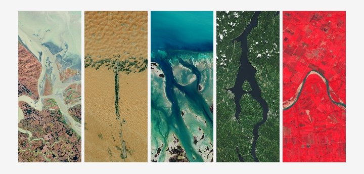 Caley C. Stephanie tweet media