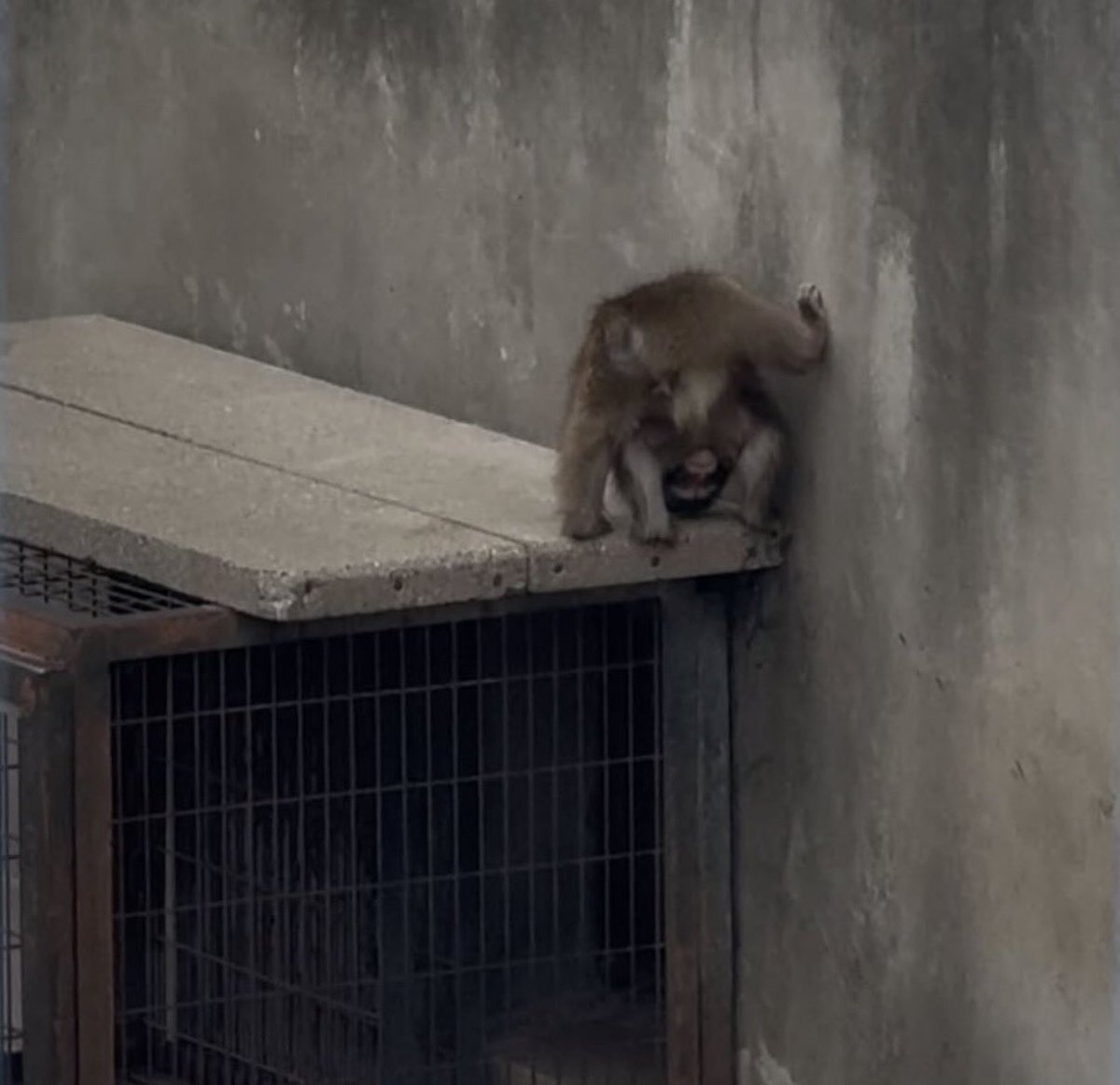 ทำดีๆๆดิลูก5555