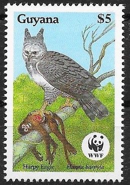 Żăçħæřÿ tweet media