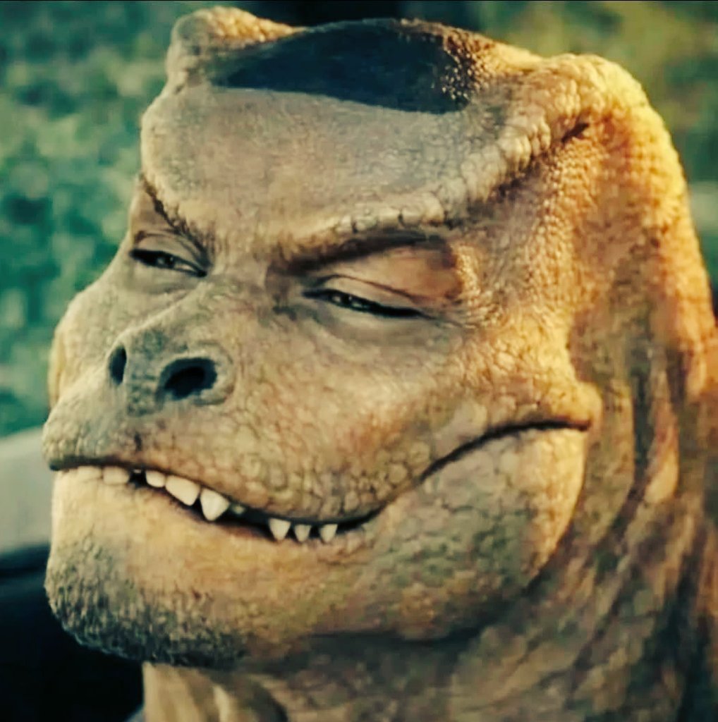 Roarfter tweet media