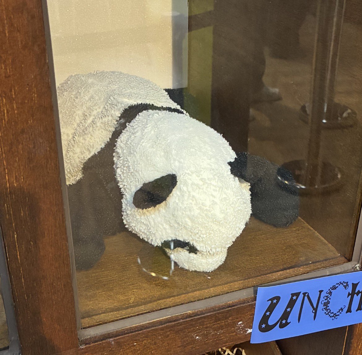 제로 ⚡︎ tweet media