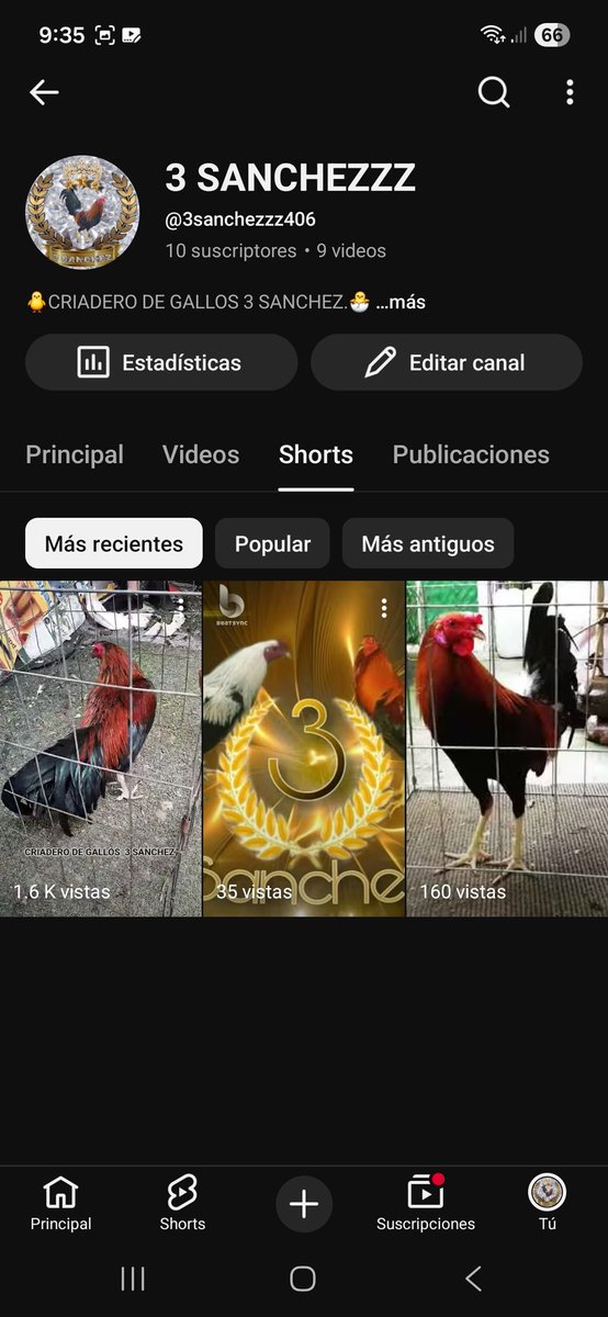 3Sanchezzz's tweet photo. https://t.co/VNNdbvUISL

SUSCRIBETE ☝️ ☝️ ☝️ https://t.co/64gZpMclmB