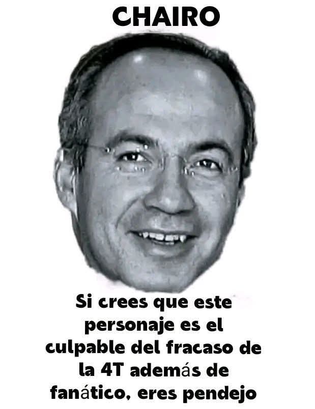 Lobo Estepario tweet media