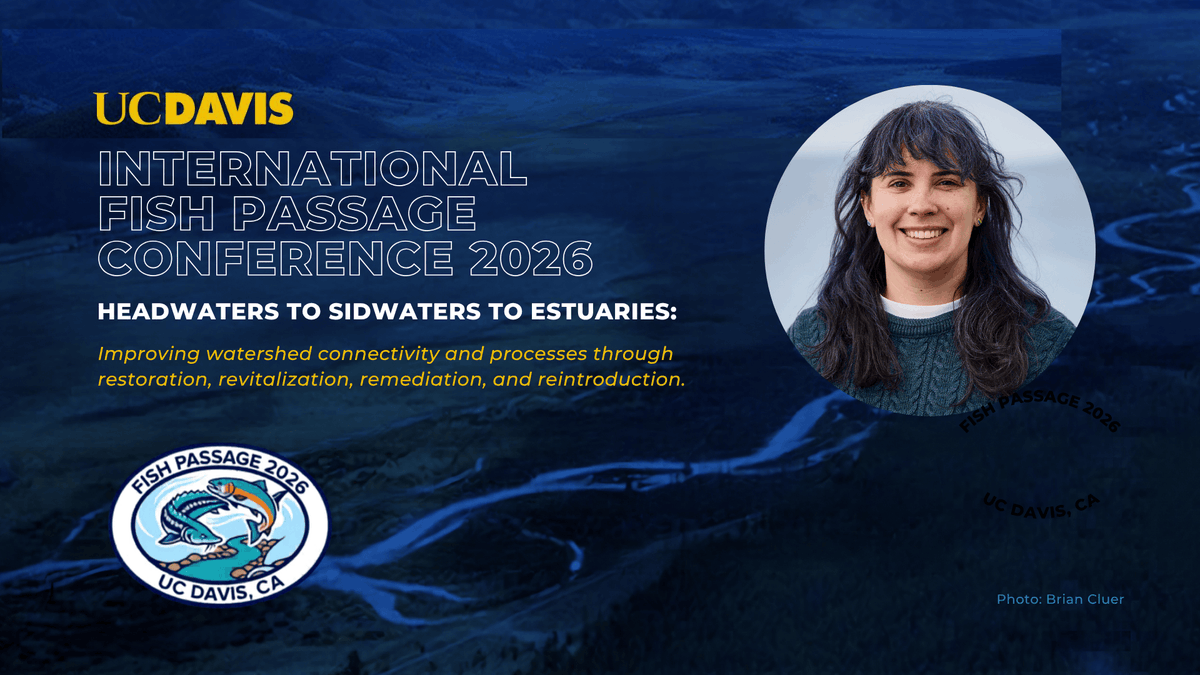 Echoview tweet media