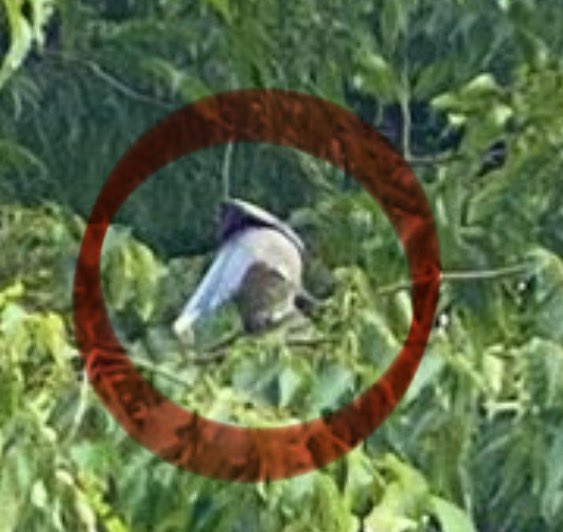 ☮️jijiTK🌎 tweet media