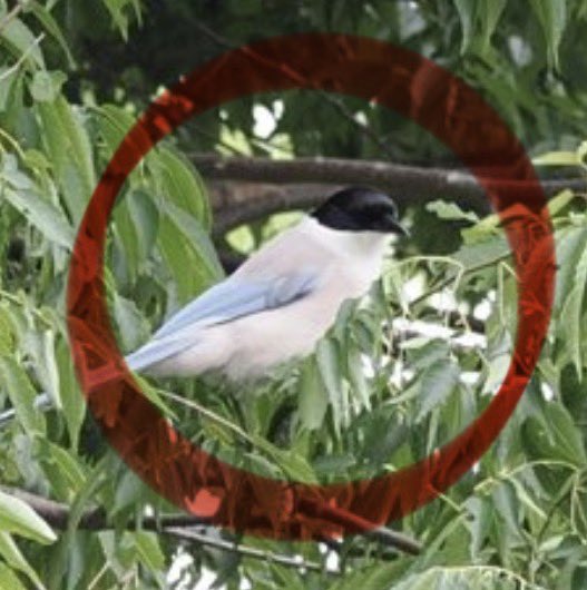 ☮️jijiTK🌎 tweet media