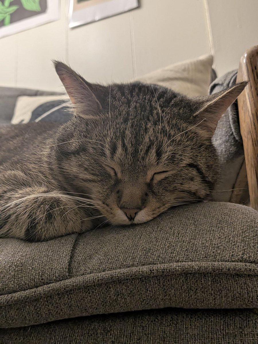 <a href="/hjerbie/">hazel 𖹭</a> good ni zzzzzzzzzzzz   ,,,,