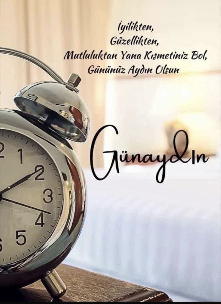 Berra Gündeş tweet media