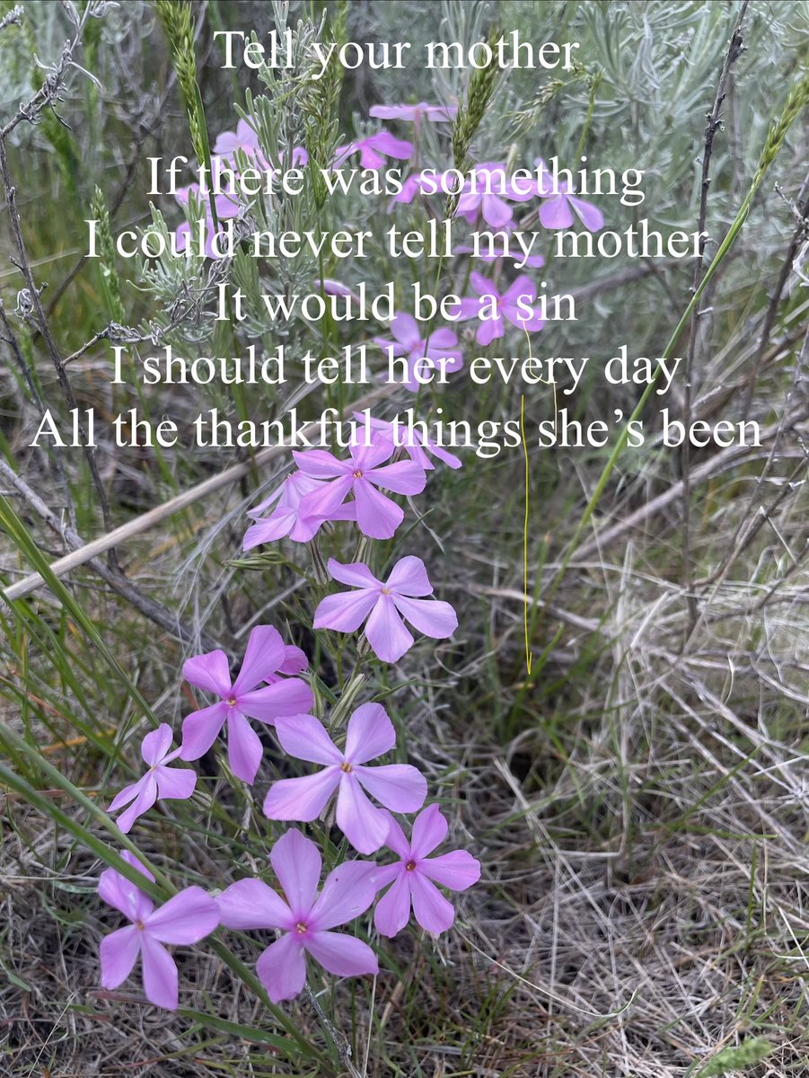 LambertonRob's tweet photo. Happy Mother’s Day! https://t.co/gEkXs4HYUB