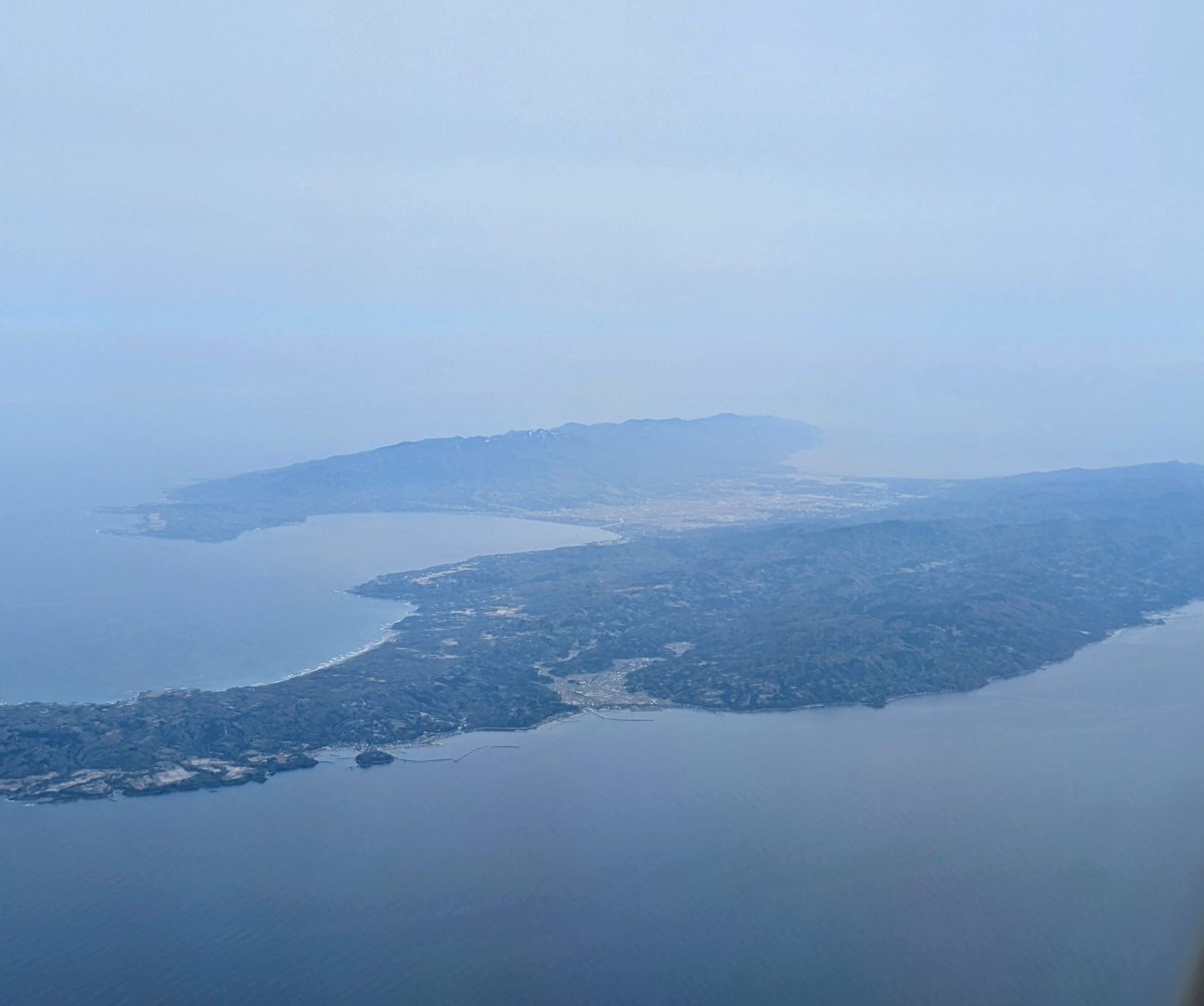 ふう👑🐃 tweet media