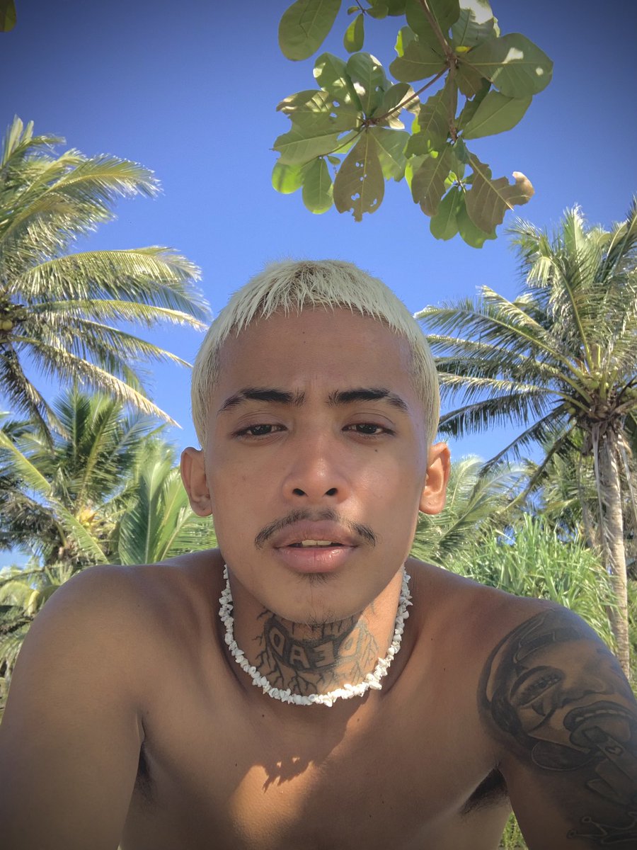 CY 🌱 tweet media