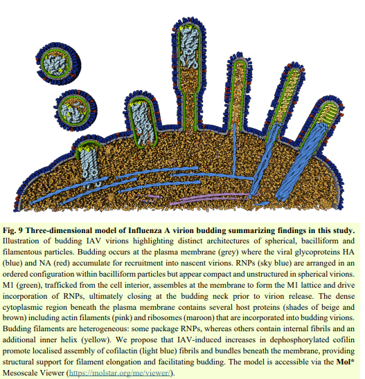 Sayed Abdel-whab (ORCID: 0000-0003-2103-0922) tweet media