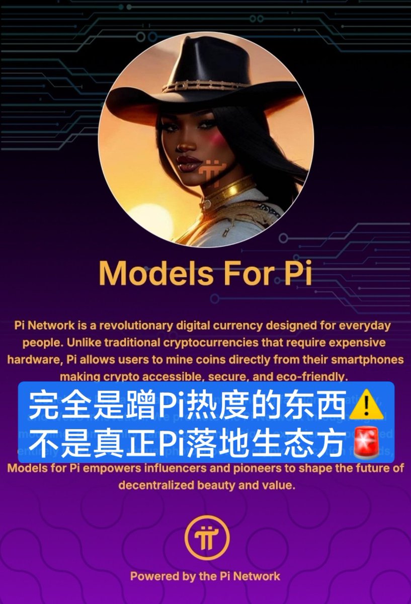 PiNetwork DEX⚡️阿龙 tweet media