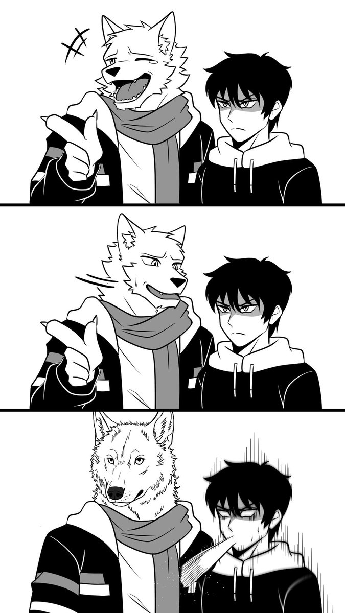 ChillWolf🔜 SiamPaws2026 tweet media