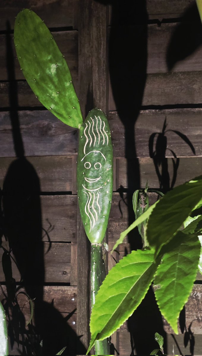 Old and Two tweet media