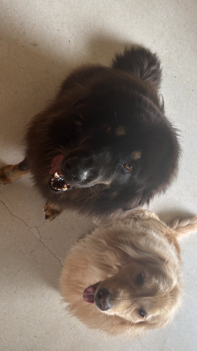 貓貓仔 tweet media