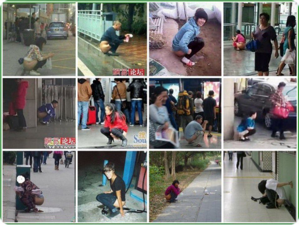 Kumashun🇯🇵🐻💎 tweet media