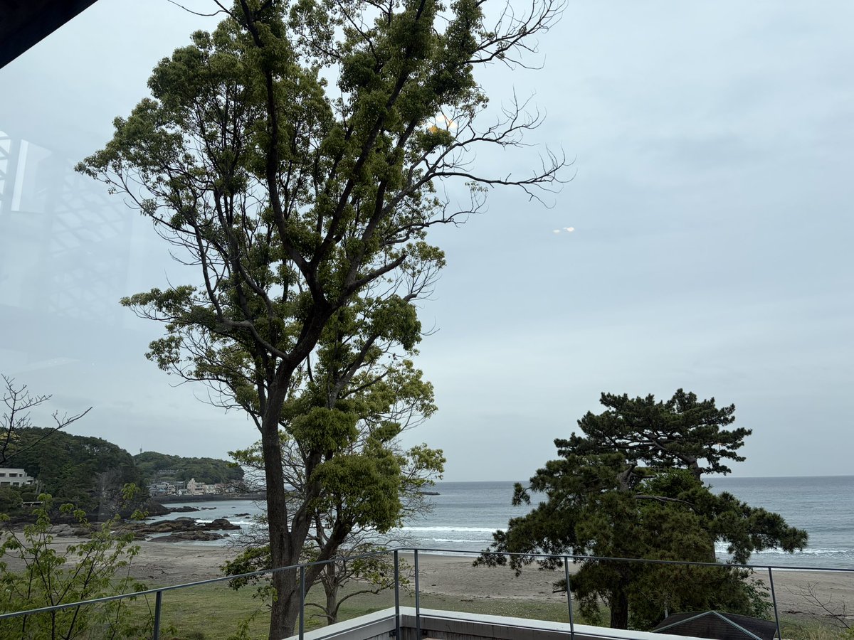 みか地 tweet media