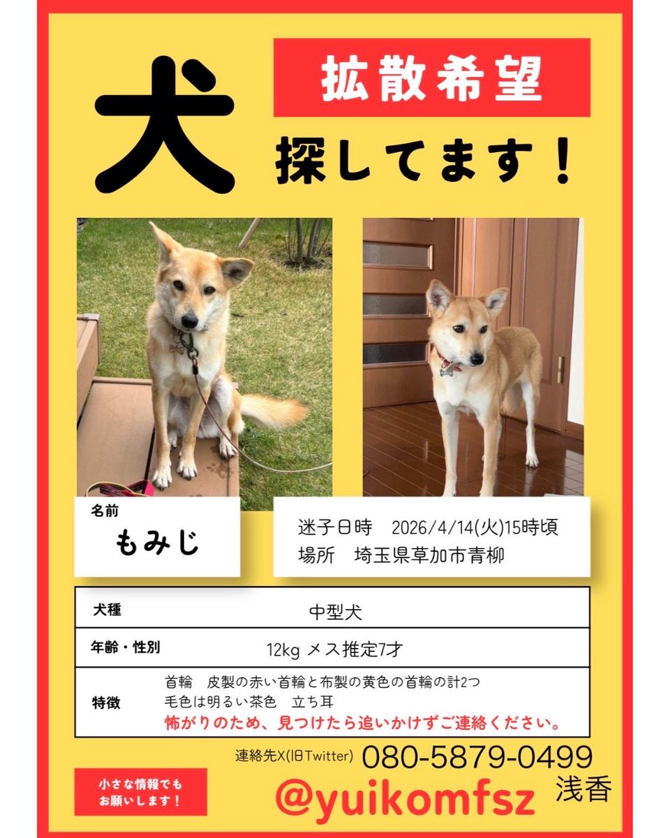 認定NPO法人キドックス tweet media