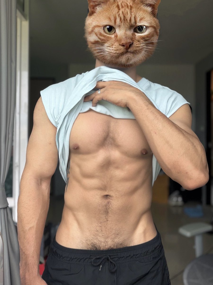 แมวส้ม 😼 tweet media
