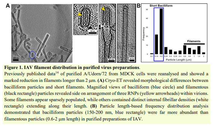 Sayed Abdel-whab (ORCID: 0000-0003-2103-0922) tweet media