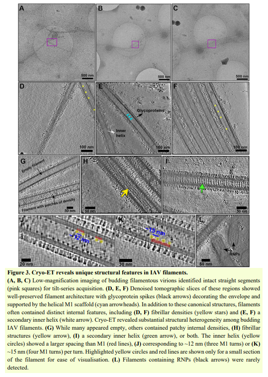 Sayed Abdel-whab (ORCID: 0000-0003-2103-0922) tweet media