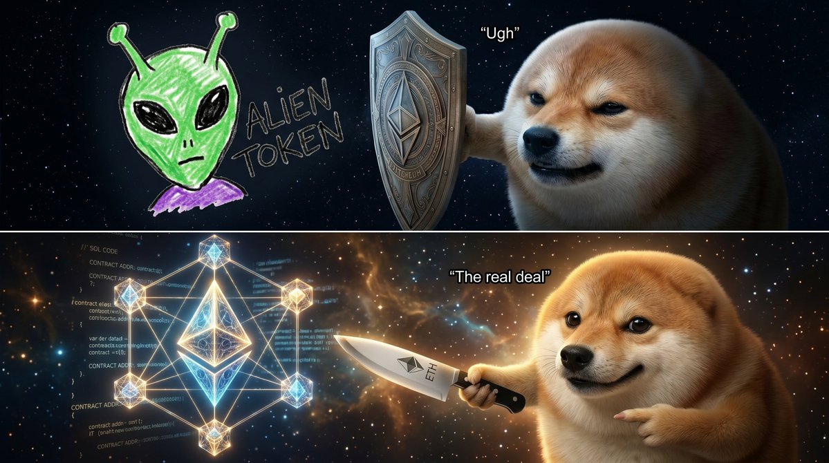 我的刀盾/What the dog doing tweet media