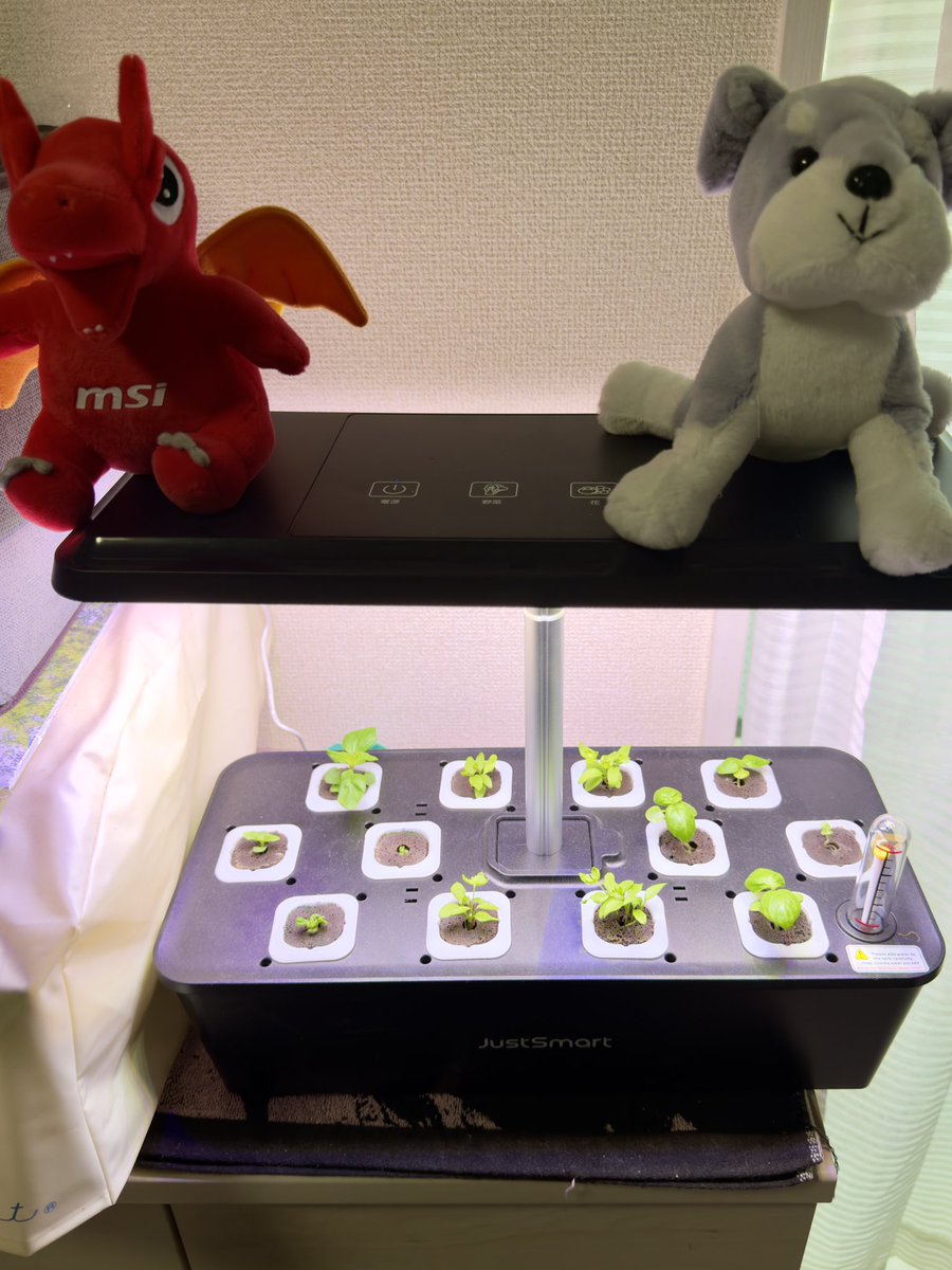 田森就太@UNLIMIT/CoZaTo × tweet media