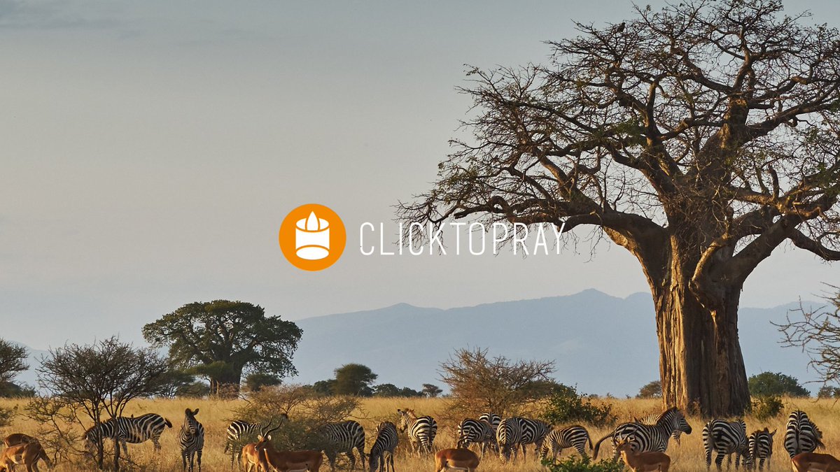 clicktopray_en's tweet image. 🌞Start your day with purpose. Your morning #prayer is on #ClickToPray: ➡️clicktopray.org/daily