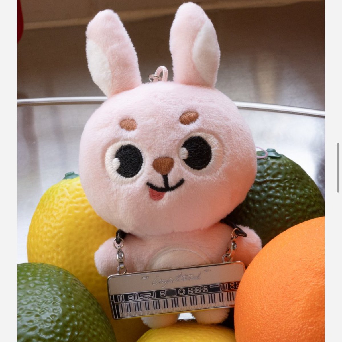 아 개귀여워 아 ㅠㅠㅠ