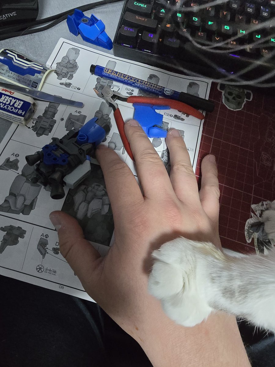 Henko404's tweet photo. @iloveokabe Meanwhile my small creature decides to bully me when I try to do anything https://t.co/3LqZXijOAR