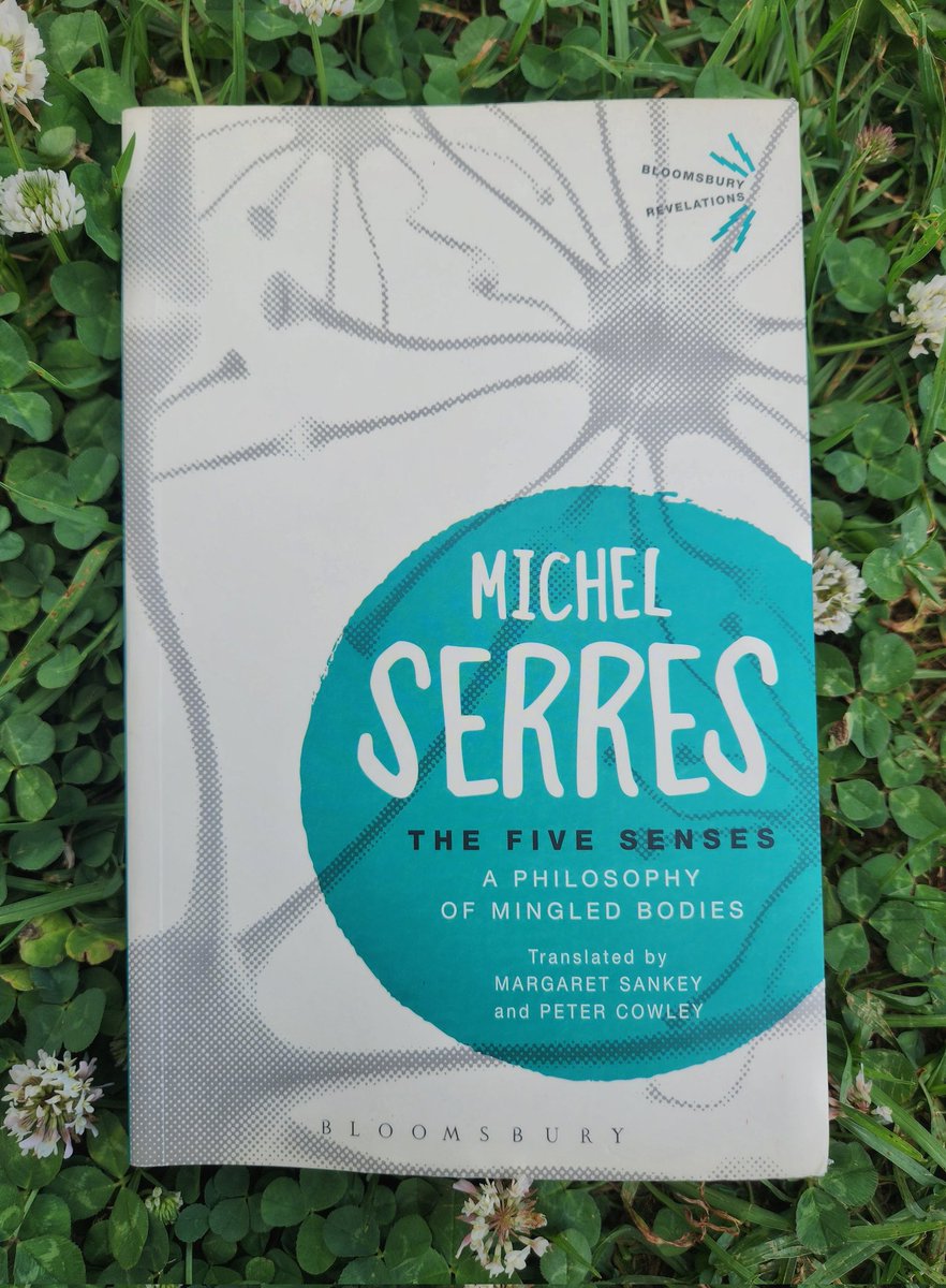 Streetli 🍉 tweet media