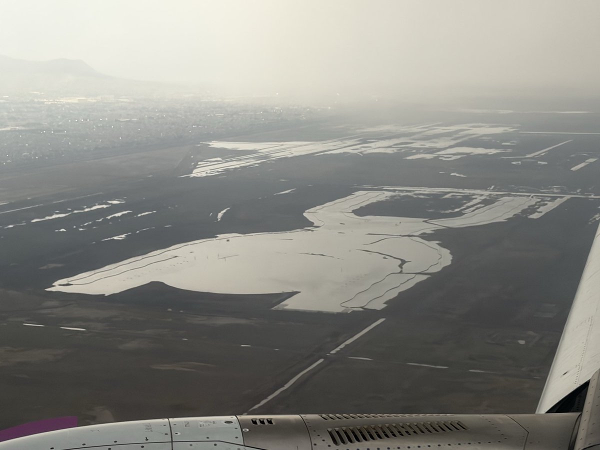 Macedonio Tamez tweet media