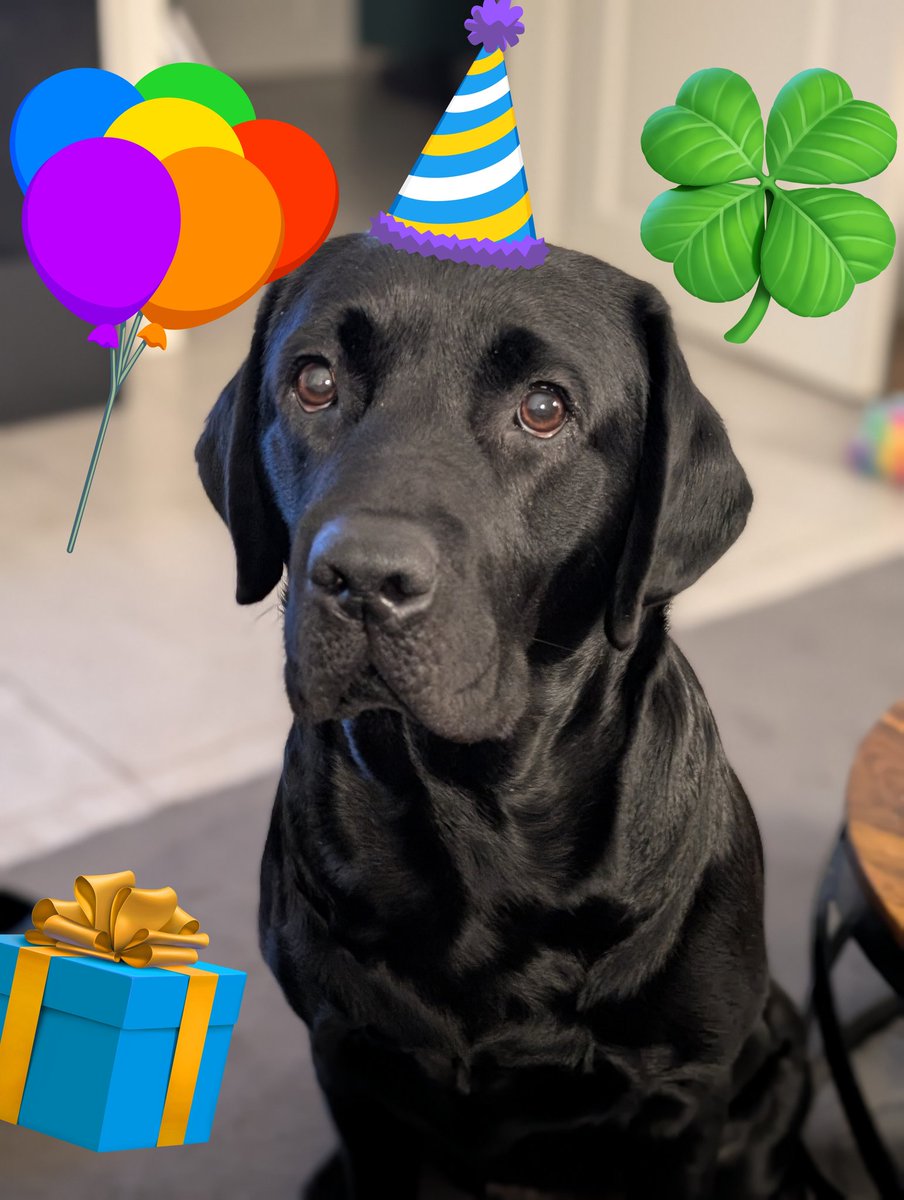 Polly_&🌈Lola tweet media