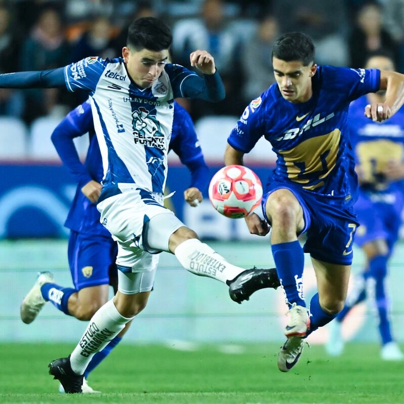 Fabrizio Domínguez Castilla tweet media