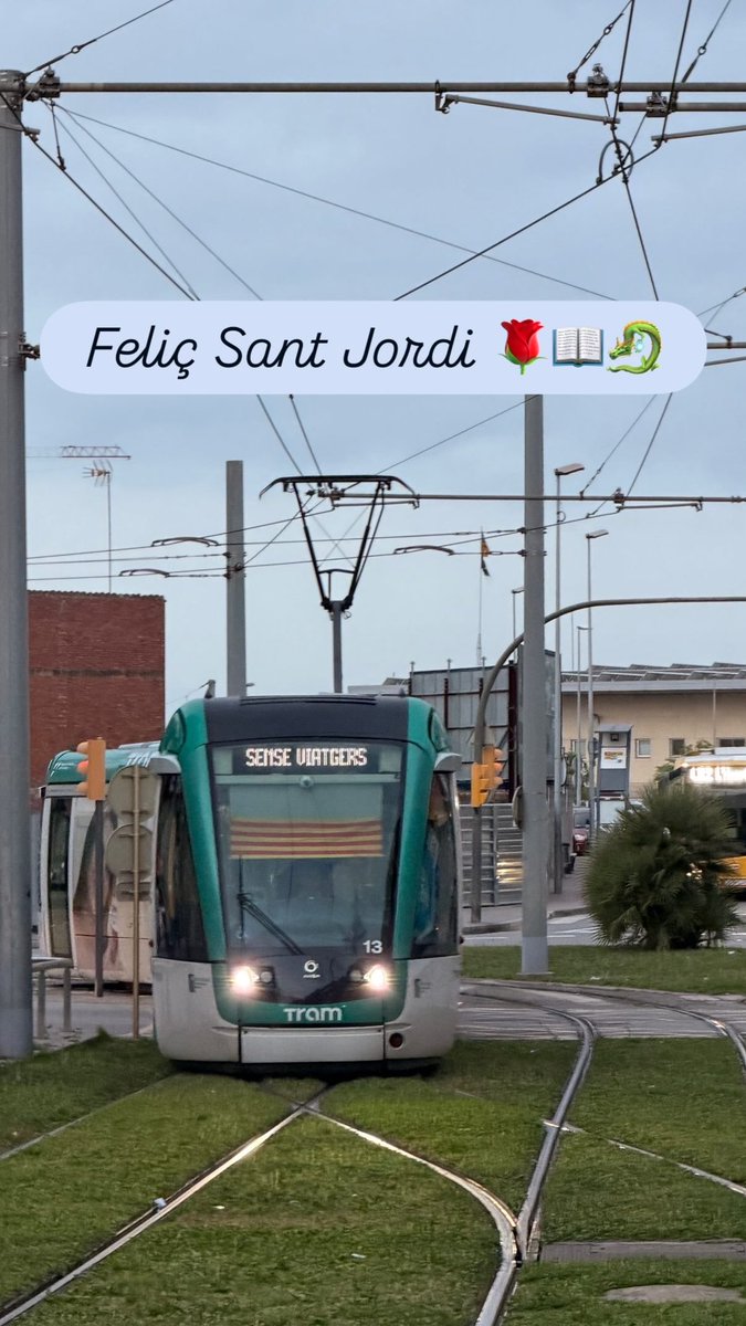Feliç Diada de Sant Jordi! 🌹📖🐉 :)